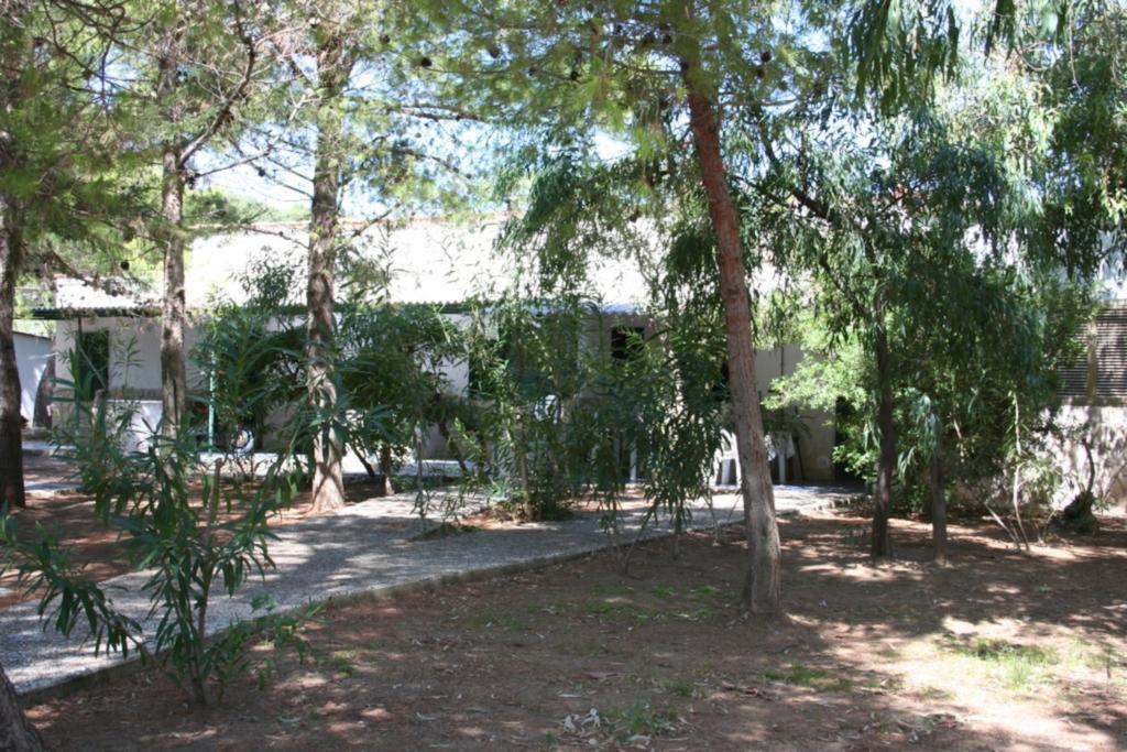 Villaggio Sabbiadoro Vieste Exteriér fotografie
