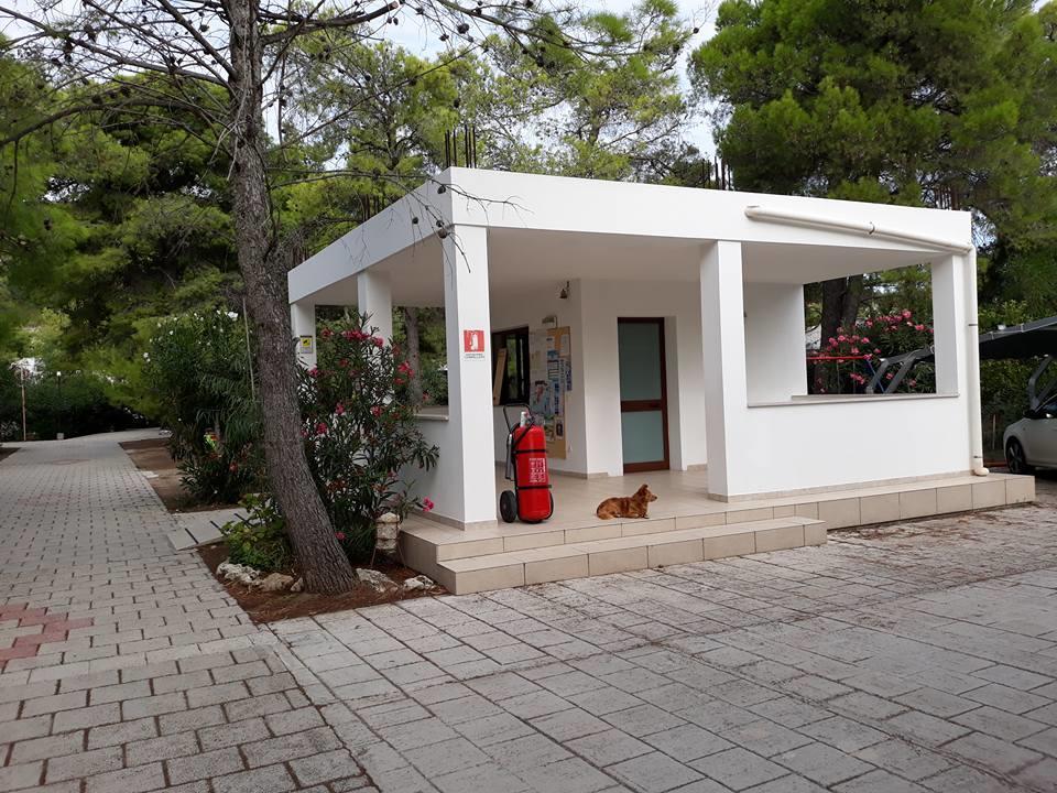 Villaggio Sabbiadoro Vieste Exteriér fotografie